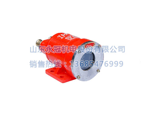 DGY9/24H矿用隔爆型信号灯